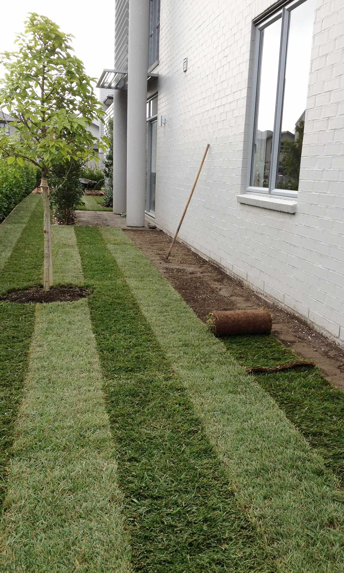 Photo of real turf being put down