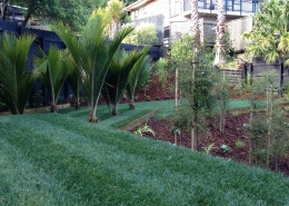 Synthetic Lawns & Turf