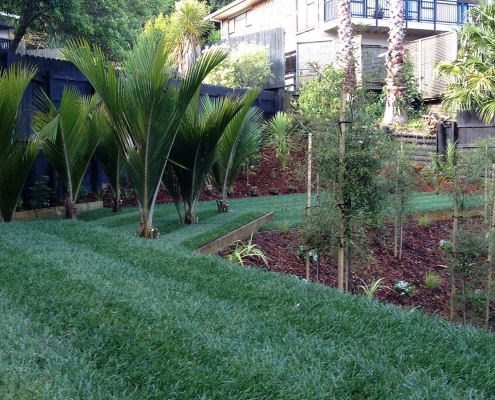 Synthetic Lawns & Turf