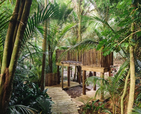 Photo of kids fort in the bush