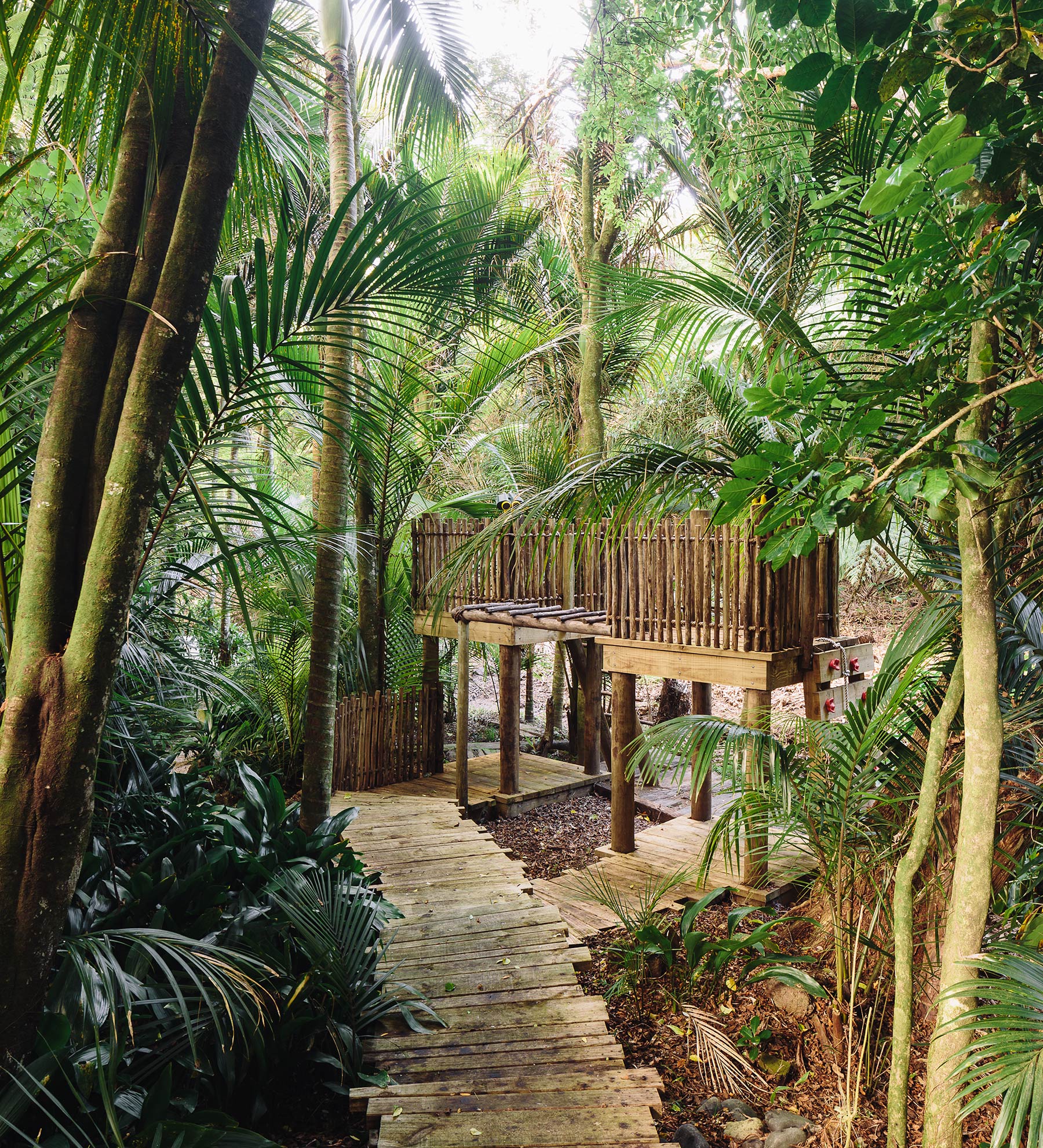 Kids Jungle Fort Landscaping Project | Area Amongst the Bush